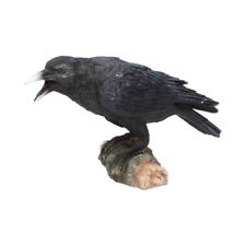 Nemesis raven call for sale  SWANSEA