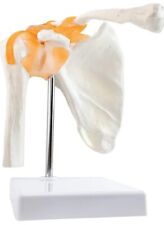 Anatomical shoulder joint for sale  ROWLEY REGIS