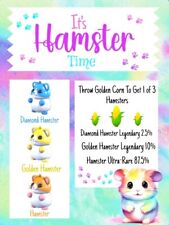 Adopt hamster time for sale  Wilmington