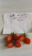 Graines tomates petit d'occasion  Montereau-Fault-Yonne