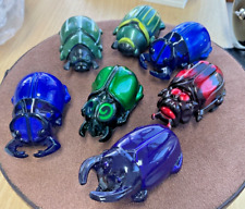 Racing beetle insect for sale  KING'S LYNN