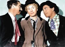 The Marx Brothers 12 Movies DVD's not compressed like some others on here segunda mano  Embacar hacia Mexico