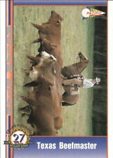 1993 Pacific Ryan 27th Season Texas Rangers Baseball Card #104 Texas Beefmaster for sale  Shipping to South Africa