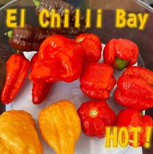 Mix hot chilli for sale  READING