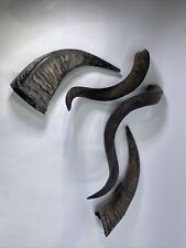 Kudu Yemenite Horns & Bull Horns Lot Natural 22”-15” for sale  Shipping to South Africa