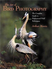 Art bird photography for sale  Reno