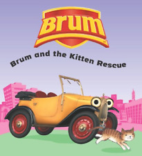 Brum kitten rescue for sale  ROSSENDALE