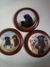 Labrador plates danbury for sale  MANCHESTER