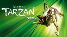 Tarzan musical 2024 gebraucht kaufen  Bietigheim-Bissingen
