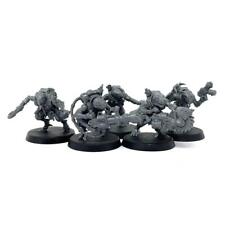 Acolyte hybrids squad for sale  STAFFORD