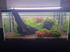 Fish tank 300l for sale  READING