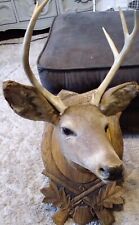 Vtg white tail for sale  Riesel