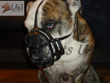 Leather dog muzzle for sale  BLACKBURN