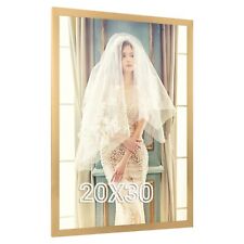 20x30 frame gold for sale  USA