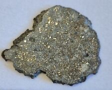 NWA 869  14.07g  L3-6 Chondite Meteorite Full Polished Slice , used for sale  Shipping to South Africa