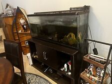 Used, 55 gallon fish tank With Stand ,Filter, And Substrate for sale  Phoenix