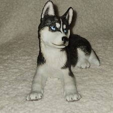 s puppies husky for sale  Council Bluffs