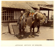 Japan japanese shoeing d'occasion  Pagny-sur-Moselle