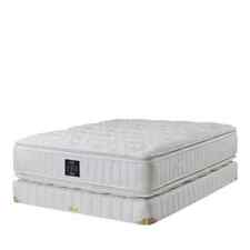 plush firm queen mattress for sale  Chattanooga