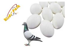 Pigeon dummy eggs for sale  Shipping to Ireland