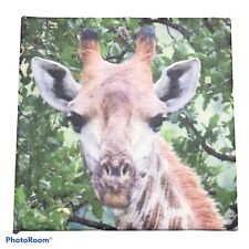 Giraffe face canvas for sale  Bradenton