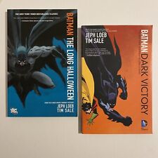 Batman dark victory for sale  SLOUGH