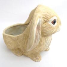 Lop eared bunny for sale  Mesquite