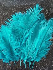 Smallish ostrich feathers for sale  NEWMARKET