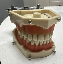 Columbia dental dentoform for sale  Albany