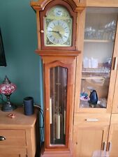 tempus fugit grandfather clock for sale  HOUNSLOW