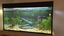 Aquarium beleuchtung 100x50 gebraucht kaufen  Crailsheim