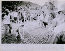 Usado, LG852 1974 Wire Photo DOGS GUARD THE FENCE North Carolina Rock Concert Canine comprar usado  Enviando para Brazil