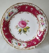 Coalport cabinet plate for sale  SWADLINCOTE