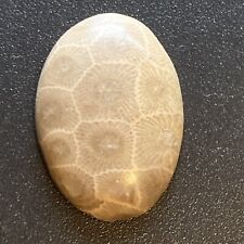 Used, Hand polished Petoskey Stone, sm/md size. Semi precious, treasure, gift, fossil for sale  Shipping to South Africa