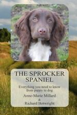 Sprocker spaniel everything for sale  UK