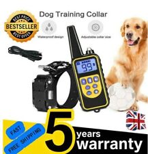 Electric dog pet for sale  WORCESTER