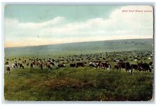 1909 2500 beef for sale  Terre Haute