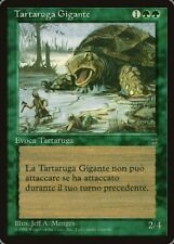 Magic tartaruga gigante usato  Reggio Emilia