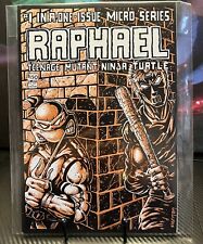 Raphael Teenage Mutant Ninja Turtles #1 Micro Series 1ª impresión 1ª aplicación. Jones 🔥, usado segunda mano  Embacar hacia Argentina