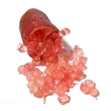 Microcitrus australasica pink d'occasion  Pouzauges