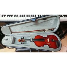 Rialto violino completo usato  Castelbuono