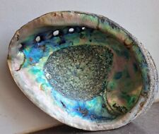 Grand coquillage abalone d'occasion  France