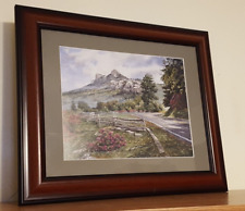 Framed color plate for sale  Rocky Mount