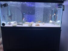 Used fish tank for sale  Hartford