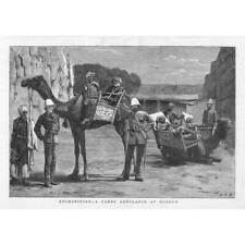 Afghan war camel for sale  GLASGOW