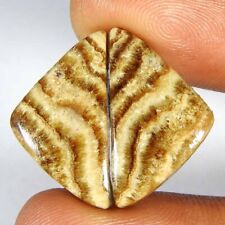 18.50Cts100%Natural Top Aragonite Fancy Pair Cabochon Loose Gemstone, used for sale  Shipping to South Africa