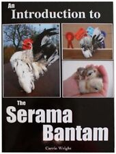 Introduction serama bantam for sale  UK