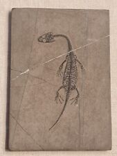 Reptile fossile keichousaurus d'occasion  Sessenheim