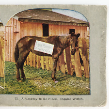 Horse oats wanted for sale  Portland