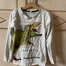 Dinosaurier rex sweatshirt gebraucht kaufen  Roth